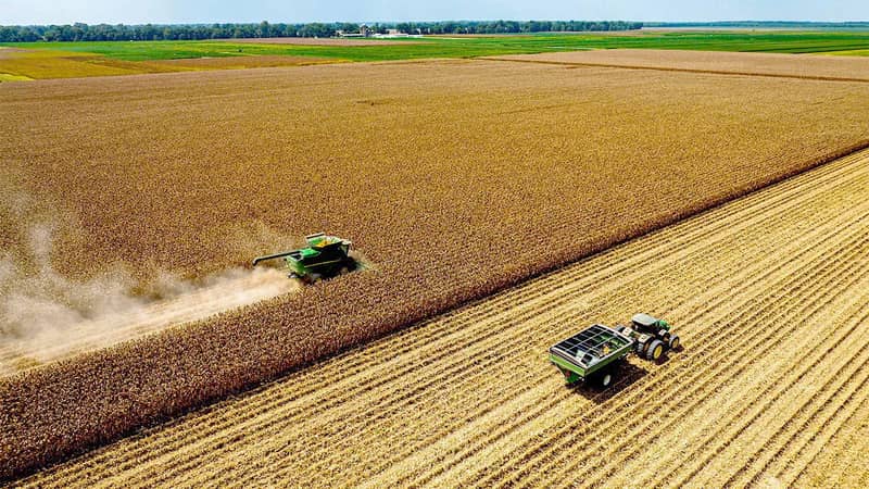 U.S. farmers face losses as Trump's tariffs hit