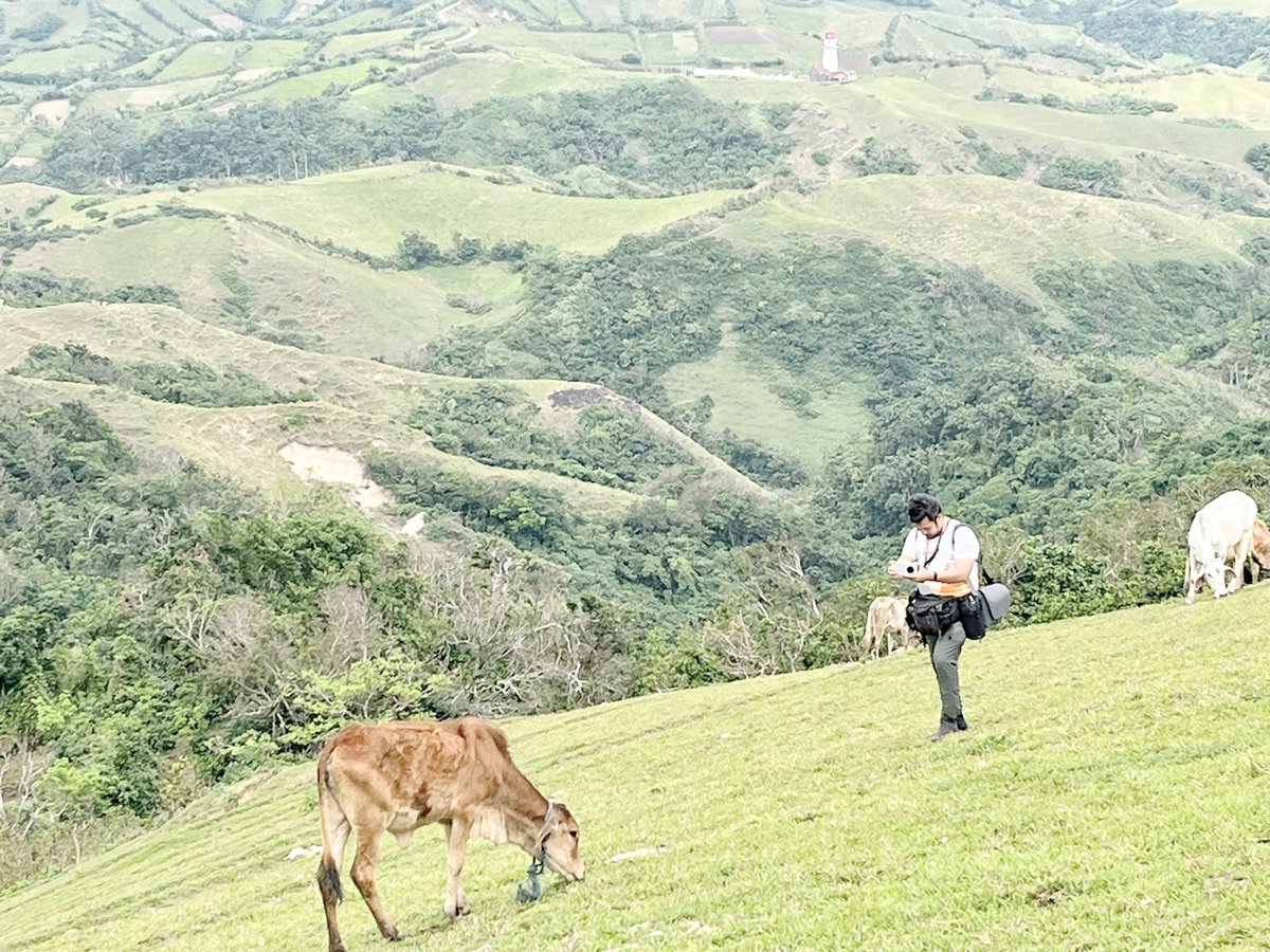 Photojournalist Mark Demayo of ABS-CBN takes shot to a cow eating grasses in Marlboro Island.