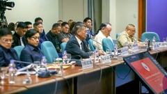Executive privilege not an excuse to dodge Senate — lawyer