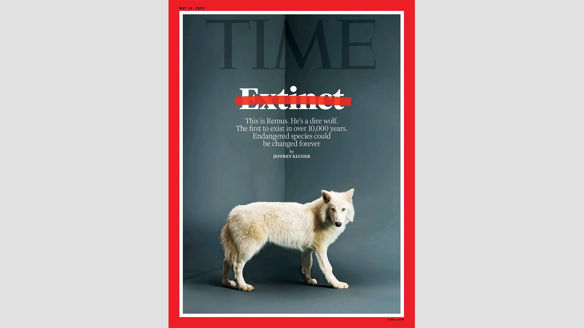 Romulus and Remus: The return of the dire wolf