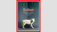 Romulus and Remus: The return of the dire wolf