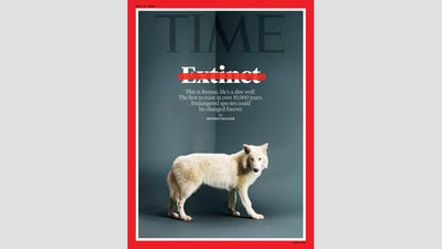Romulus and Remus: The return of the dire wolf