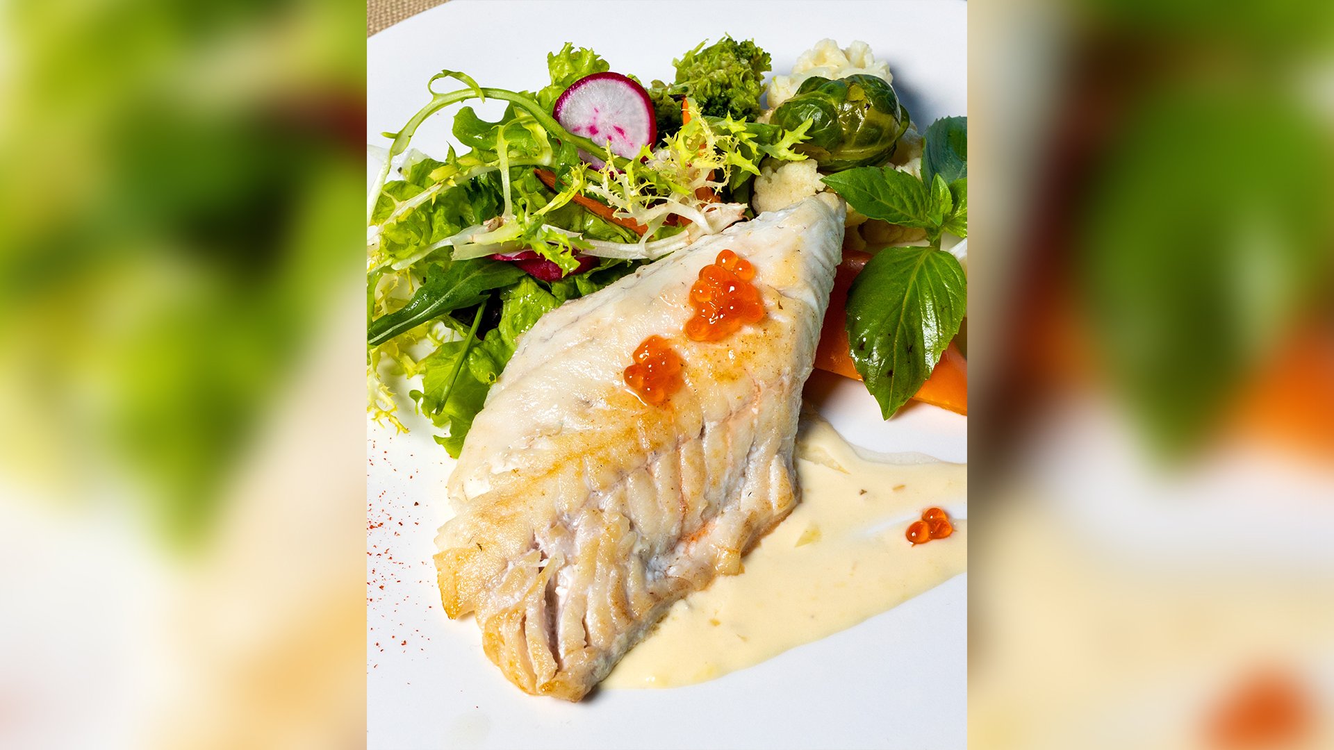 Healthy and delicious meals without meat