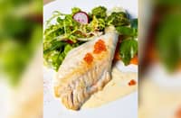 Healthy and delicious meals without meat
