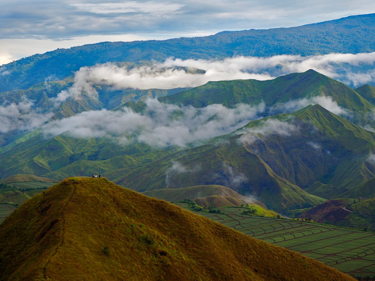 Wikimedia Commons, photo by Glenn Palacio