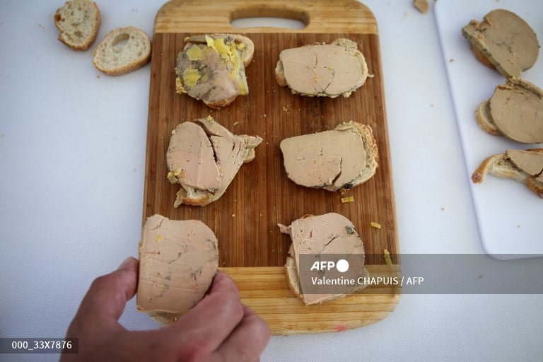 Faux gras? Scientists craft 'more ethical' version of French delicacy