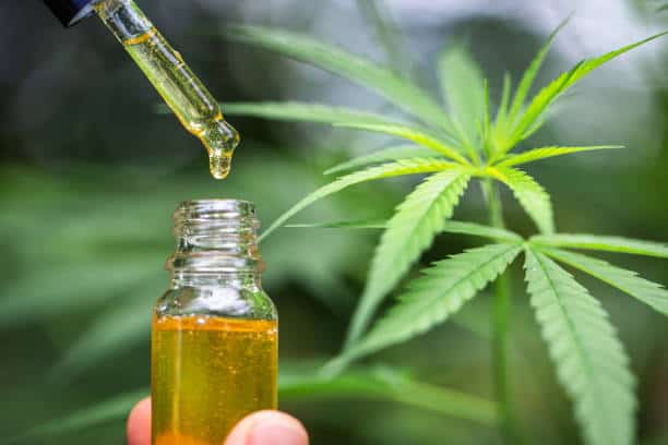 2 teens nabbed with marijuana kush, oil