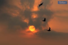 A hazy sunrise