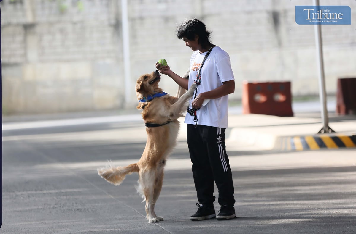 Analy Labor
