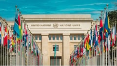 UN to cut humanitarian operations office staff by 20%