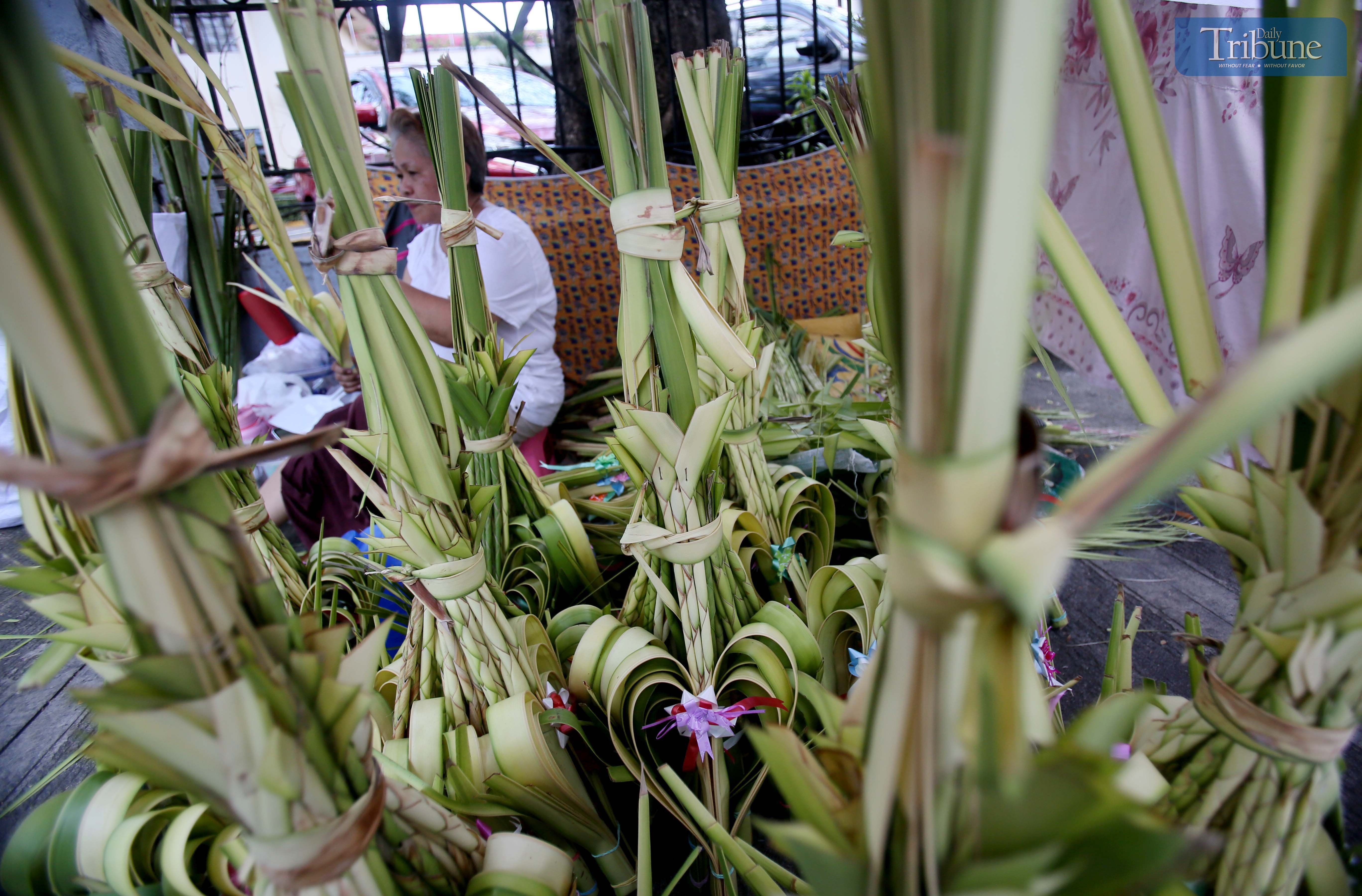 Thoughts to live by: Palm Sunday