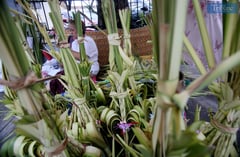Thoughts to live by: Palm Sunday