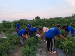 KSK farmers reap rewards of Henry Sy Sr.’s ideals