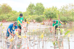 Globe backs DENR project to plant 5M trees