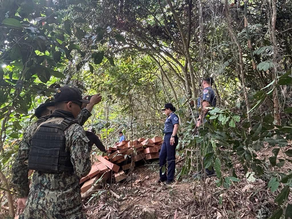 P266K illegally cut logs confiscated
