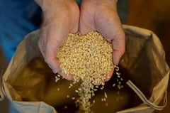 Japan rice prices nearly double, boosting inflation