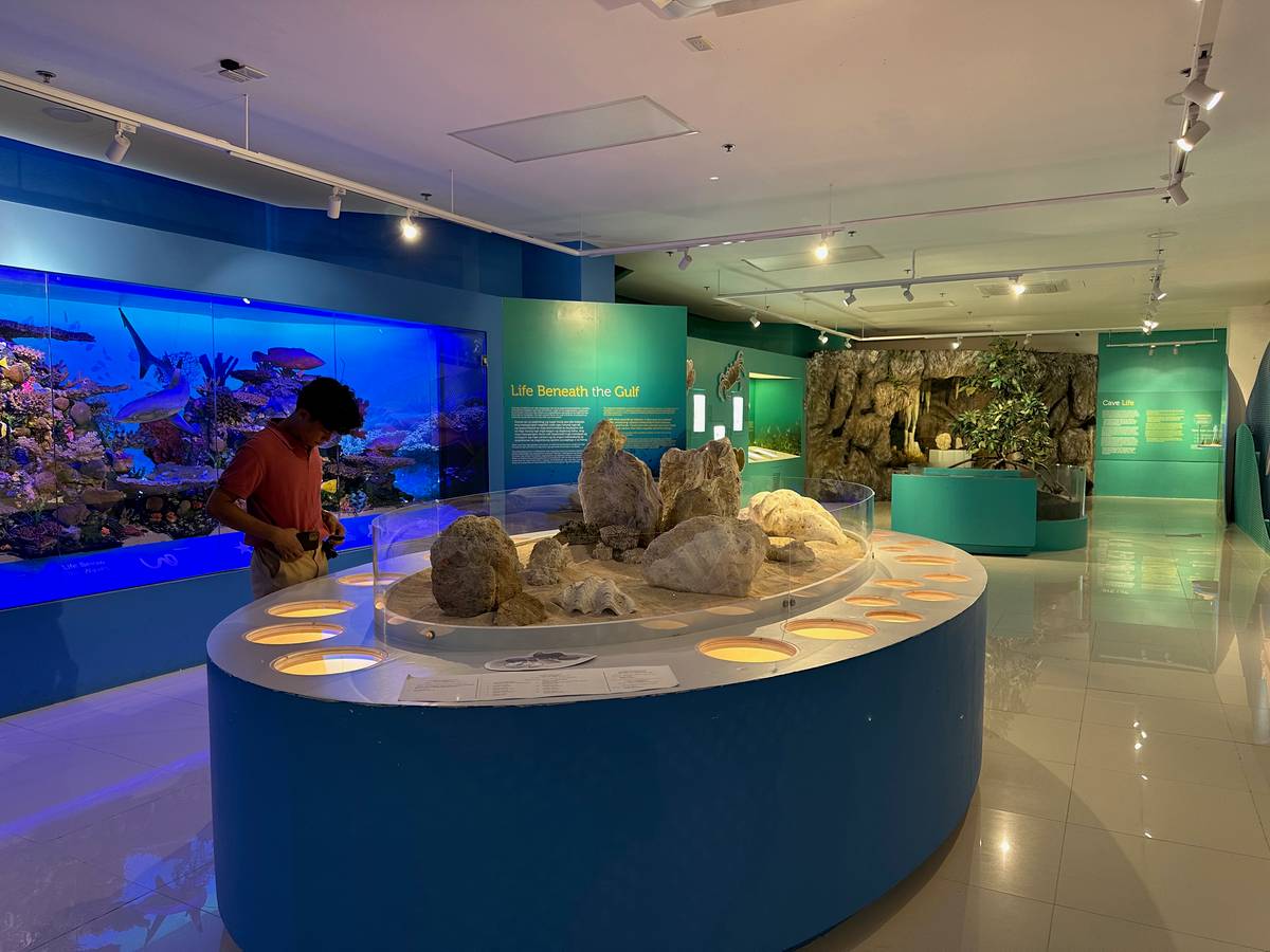 Galleries featuring Davao’s marine and mangrove ecosystems can be found at the museum’s second level.