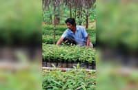 DBP has committed to reforest 7,500 hectares of land through its DBP Forest Program.