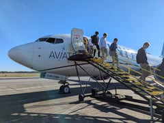 Hopped off course: Rabbit strike sparks plane engine fire 
