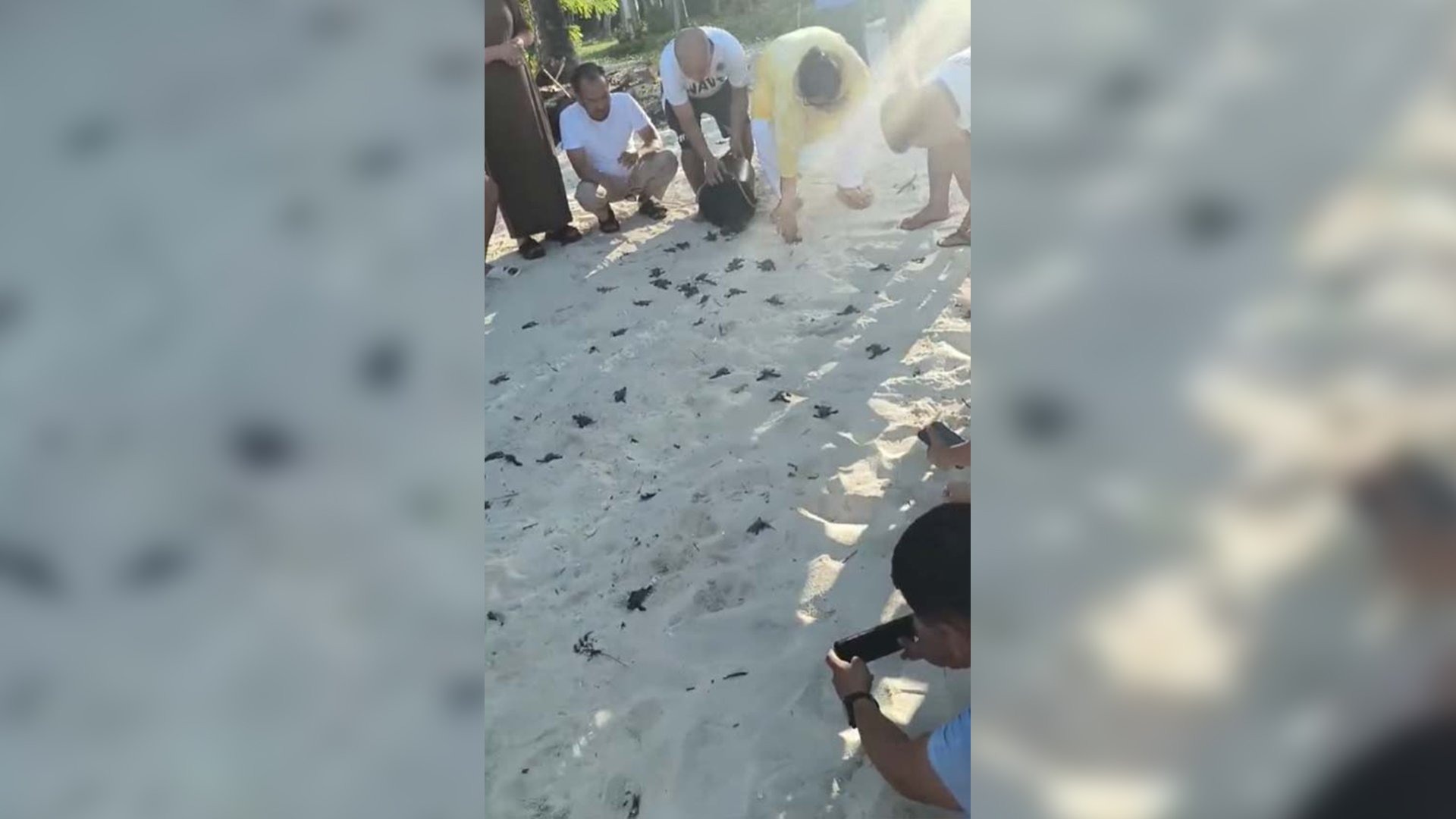 500 sea turtle hatchlings released in Tawi-Tawi