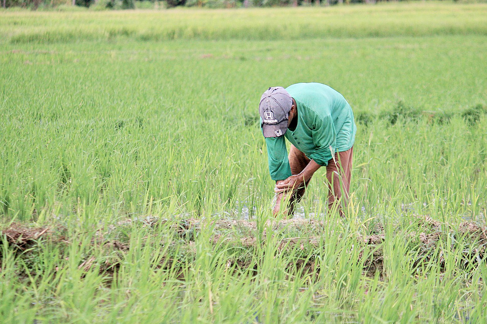 Over 300 CamSur ARBs now debt-free
