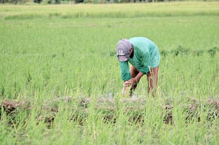 Over 300 CamSur ARBs now debt-free