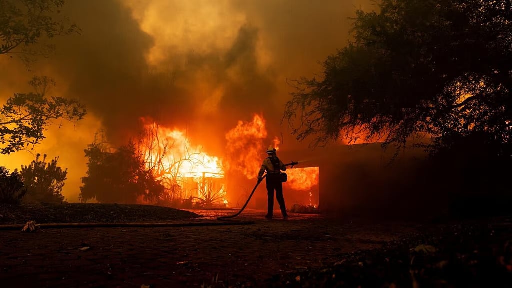 Teen charged for causing forest fire