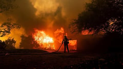 Teen charged for causing forest fire