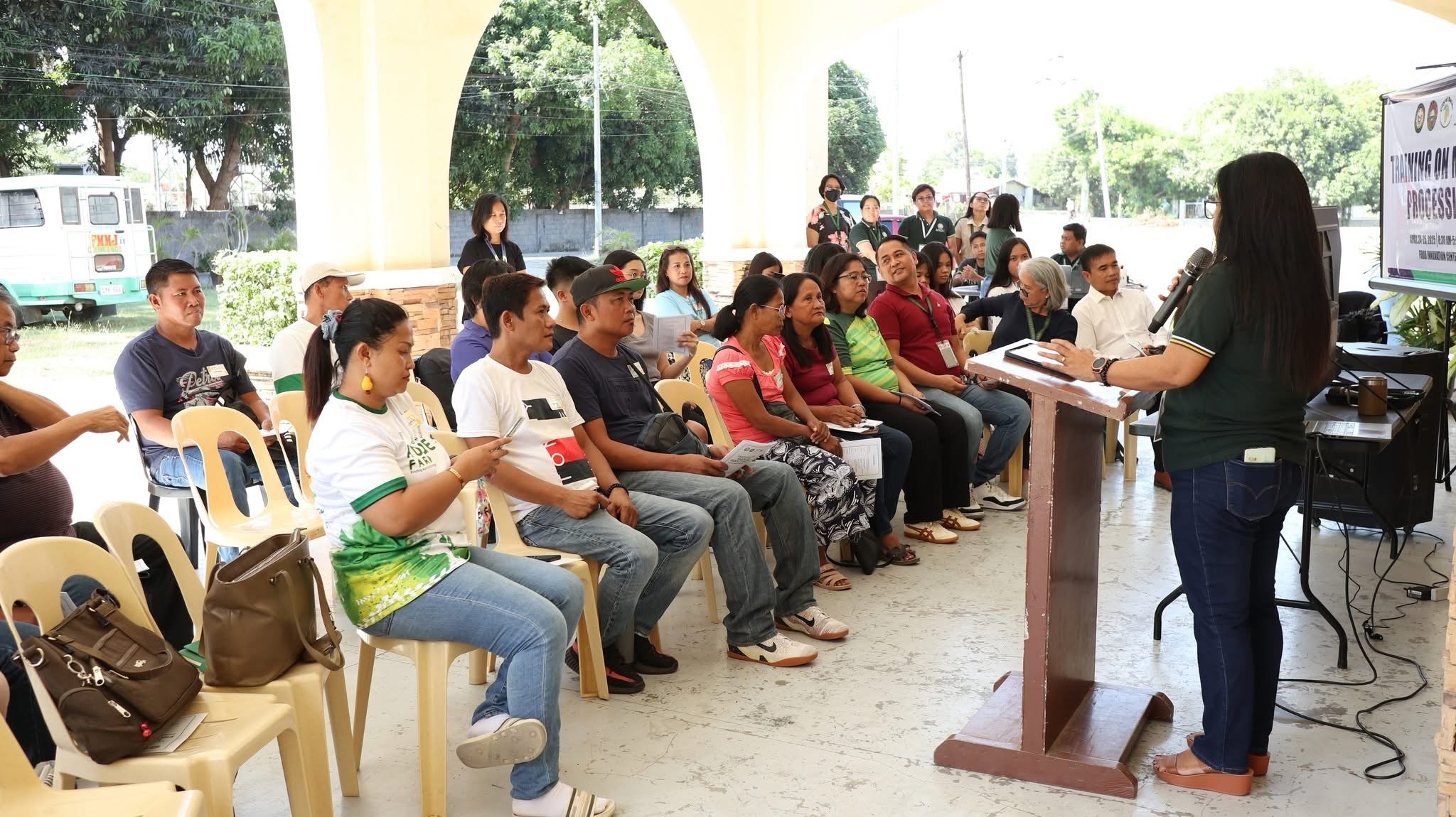 MMSU empowers Batac mango farmers through processing training