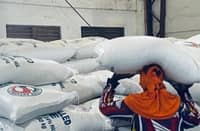 NFA says warehouses full as P20 rice rollout nears
