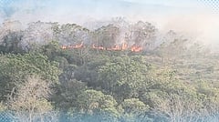 Extreme heat sparks fire again on Mt. Arayat