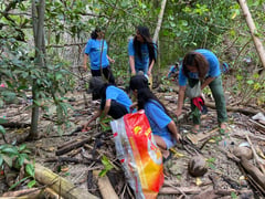 Cleanergy cleanup, digital training for Earth Day 2025