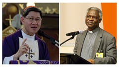 Papal choice prediction seen as a ‘fool’s game’