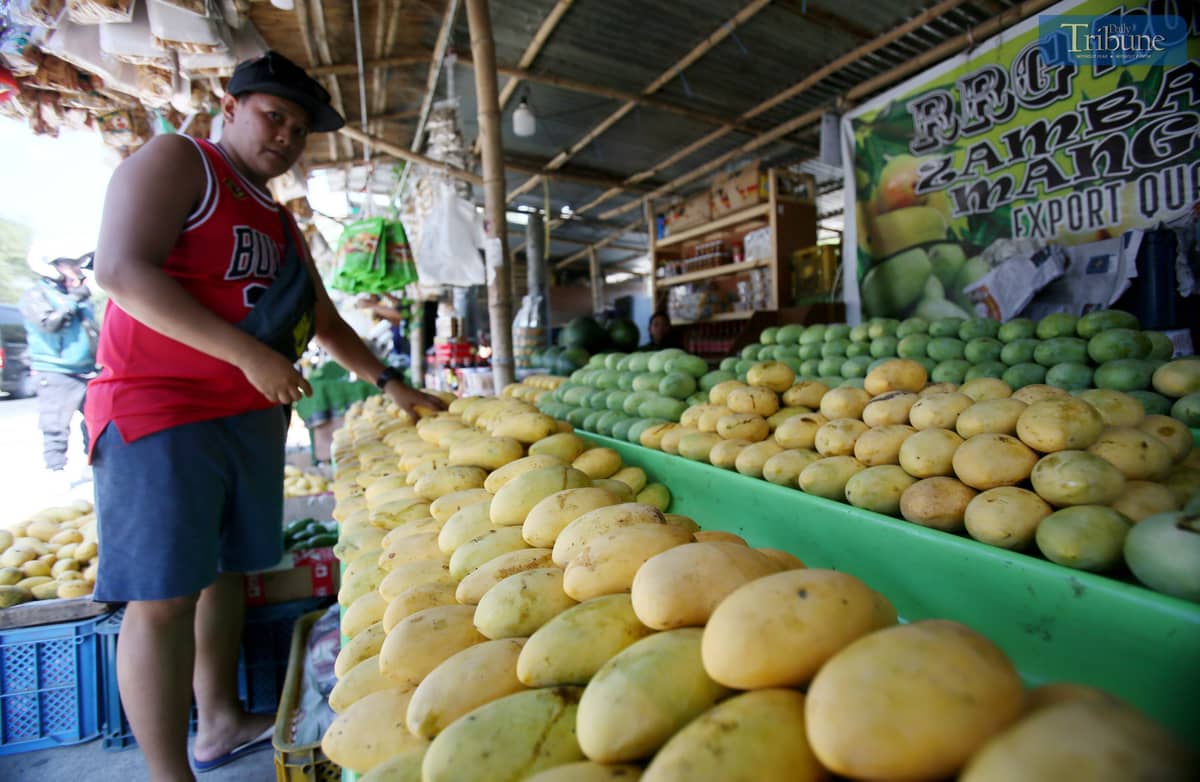 Local tourists are seen purchasing mangoes at the lowest prices along Mango Highway in San Narciso, Zambales, on Sunday, 27 April 2025.