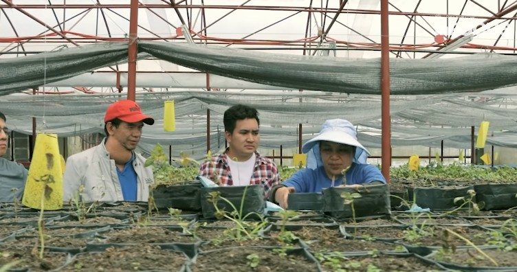 Benguet farm welcomes AI agri-tech platform