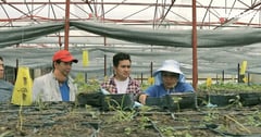 Benguet farm welcomes AI agri-tech platform