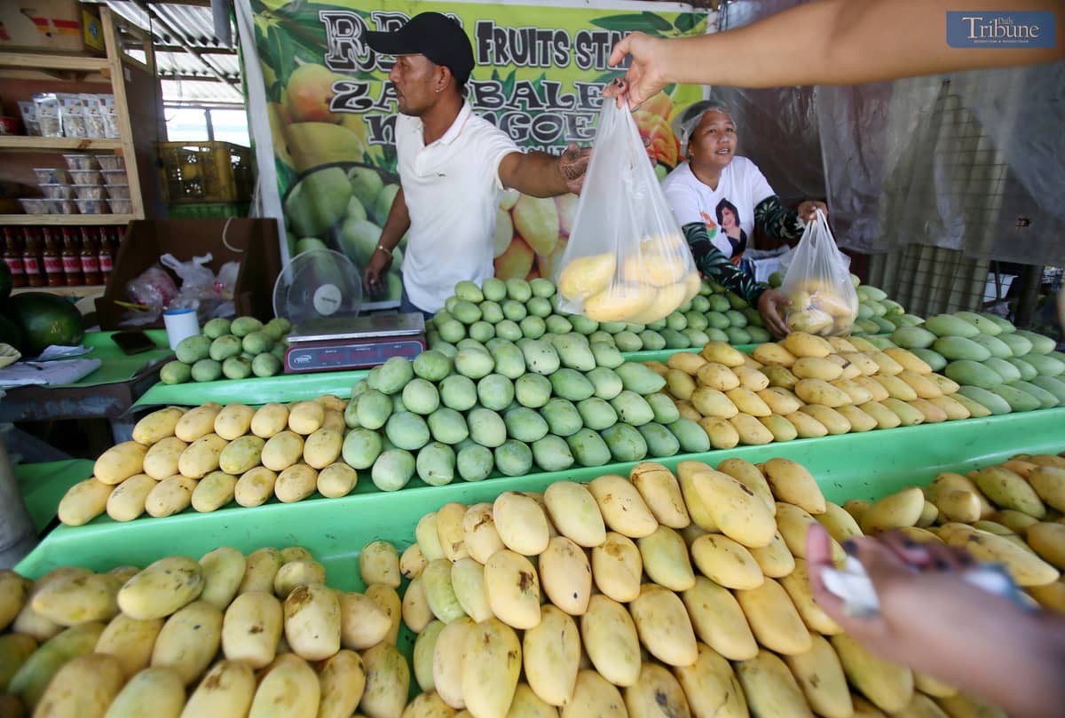 Local tourists are seen purchasing mangoes at the lowest prices along Mango Highway in San Narciso, Zambales, on Sunday, 27 April 2025.
