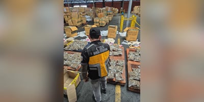 P101-M marijuana shipment from Thailand intercepted