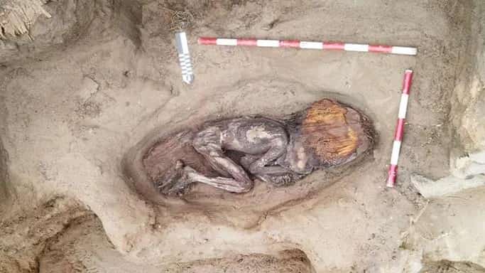 Remains of 5,000-year-old noblewoman found in Peru dig