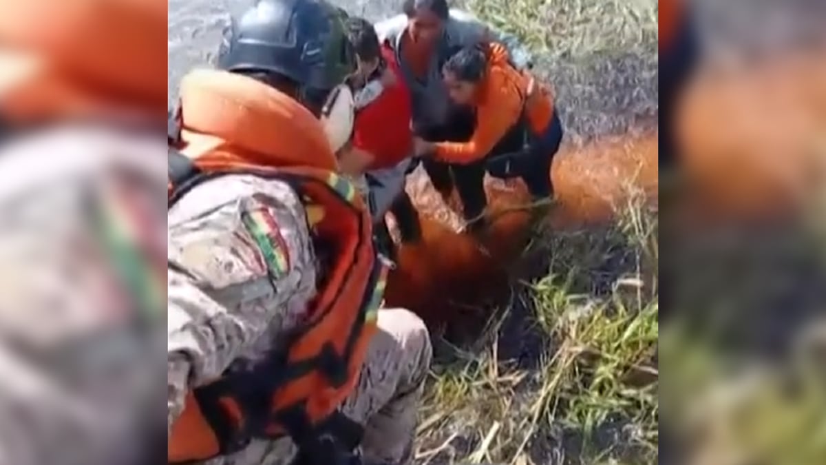 Plane lands in alligator-filled swamp