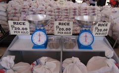 DoLE clarifies: P20 rice program not wage hike substitute