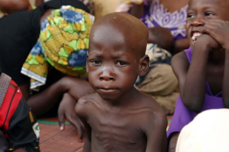 UN seeks $160 mn for food crisis in northeast Nigeria
