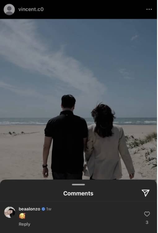 Screengrab from Vincent Co/ Movie Queen Bea Alonzo Twitter fan page