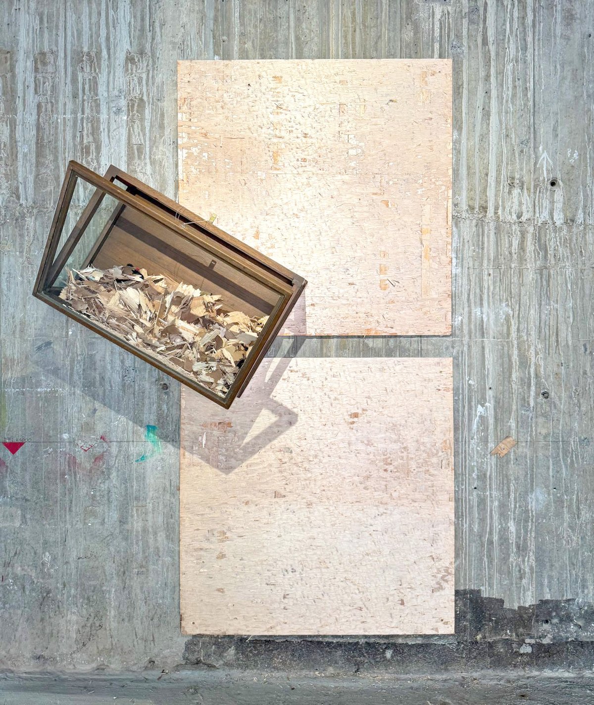Juni Salvador, ‘Marcel would have approved…After Duchamp,’ 2017, Glass case, wood panels, nylon string, dimensions variable.  Salvador chips off the surface of plywood panels to dismantle both the idea of painting.