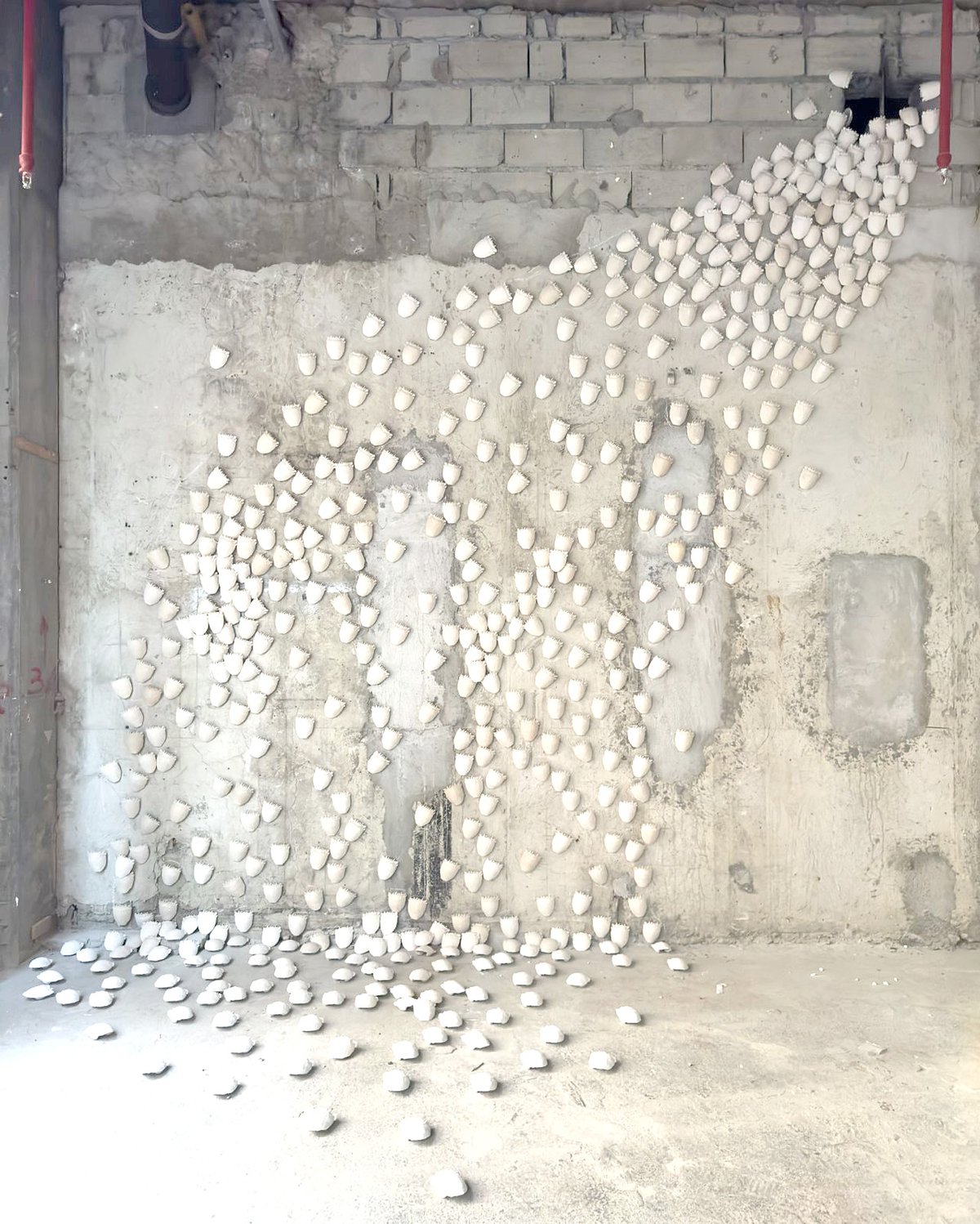 Jose Santos III, ‘Pheromones,’  2025, cast resin, dimensions variable. This artist presents a colony of curachas — more than 500 cast resin shells of a native crab species endemic to the islands.