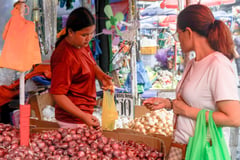 Smuggled white onions seized