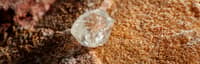 A rough natural diamond resting on a textured rock surface, symbolizing the raw beauty and origin of De Beers' mined diamonds.