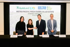 Ayala Land, Metro Pacific to build greenhouse in El Nido’s Lio Estate