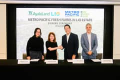 Ayala Land, Metro Pacific to build greenhouse in El Nido’s Lio Estate