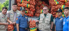 Imported onions pose health risks — DA